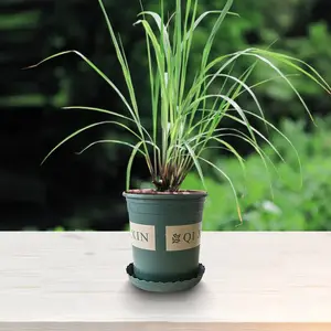 �人�����ʻ����޼�ͥ��ľ���人�����ʻ��۸�λ԰�ֱ���