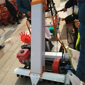 ������ʳ����װ���� �����ռ��� ˮ��ɹ���չȻ�