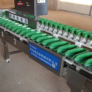 土豆重量分拣机 自动重量分级机 料盒式在线重量分选机厂家源头
