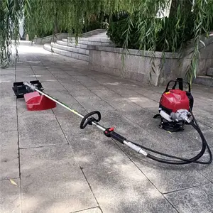 ��***�ݻ� С��§�ݻ� �βݻ�����