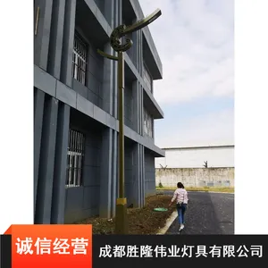 环保复古路灯_四川庭院路灯_节能路灯定制