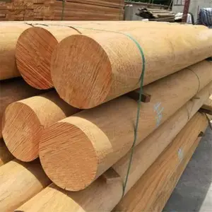 �ٴ����� ����ľ ��BCSJ106��