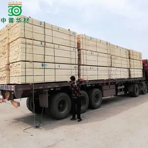������ľ�Ĺ�� ��������