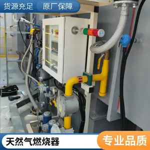 天然气低氮燃烧器 工业烘干设备天然 气燃烧机 岱鼎燃烧