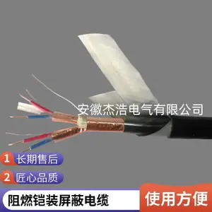 ZB-DJYP2VP2-22-2×2×1.0阻燃铠装计算机屏蔽电缆