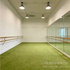 加厚15毫米防火阻燃弯头纱地毯卧室客厅酒店电影院房间卷材