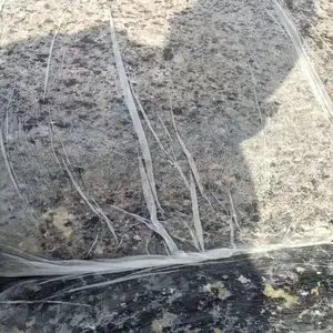 �º����� ��Ԫ�ұ�������������ģѹ��Ʒ��9��***