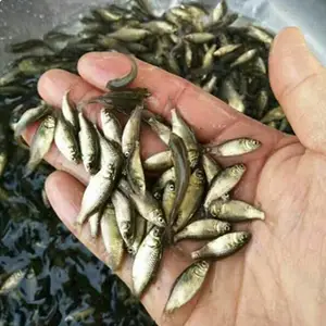���� ���� ͨ��������,俺�������������,��������ɻ�*** ��������
