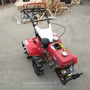 ��԰�������ݻ� ���������ػ� �ַ�ʽ������