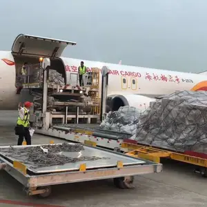 宁波机场航空货运、机场托运、海鲜跨省空运