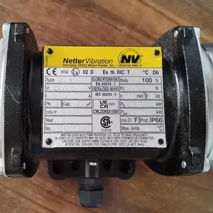 Netter Vibration振动器NTS 50/40可调节振动力和频率