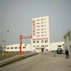 鲁鑫特粮食自动扦样机扦样器玉米扦样机抽样机粮食抽样器自动粮食取样机