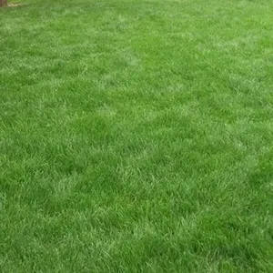 ��������Ƥ ���ݿ�����̬���̹����õ�̨������ۼ۸� �ɹ��۸�