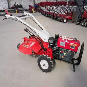 ����15���������� ���￪�������� �����������������