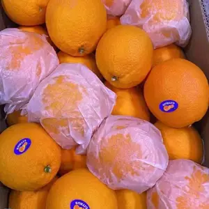 �� ��ˮ���� Ӧ ����ˮ���� ���г����;Ƶ� ʳ�� ��λˮ������