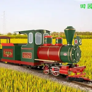 网红轨道游乐小火车 观光小火车 游玩代步车 仿真游乐小火车