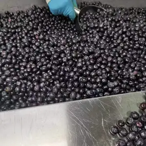 鲜果速冻加工供应冷冻蓝莓餐饮连锁1kg水果包支持贴牌包装