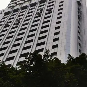 ��ǽ2.5mm��̼���������� ŷ�ٵ���������������