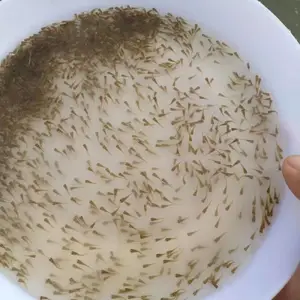 ��������ˮ�� �Ĵ���� ���� �޷� ���� ������ ���� �ƹǹ�����ϵ�