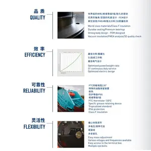 欧力卧 龙MVE防爆振动电机2 4 6 8极三相220-460V50/60Hz ExdbIIBT4Gb