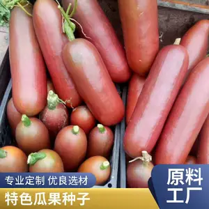 ������ ���ȹ��������� ��ֲ����ֱ��