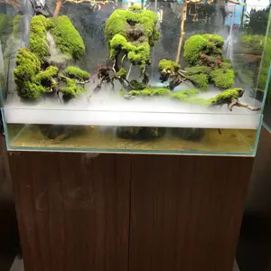 ��ʱ��ͣ����ˮ�ڻ����������� ����뾶50�� ����԰�ָ�ѹ΢����