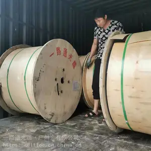 ELT24芯铠装层绞式光缆GYTS厂家直销