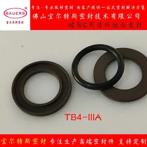 轴向端部C形滑环式组合密封TB4-IIIA高压静密封