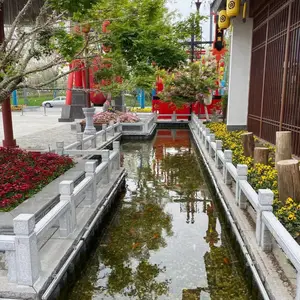 济南市锦鲤鱼池过滤系统设计安装 杜绝水浑浊死鱼现象