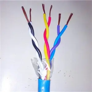 ZR-DJYPVP2X2X1.0阻燃计算机电缆订购泰来2X0.5铠装通讯线缆壮观