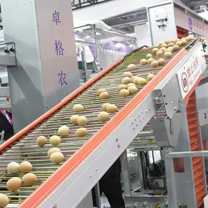 鸡蛋无损输送家用集专用500mm蛋鸡养殖自动化设备卓格捡蛋集蛋器