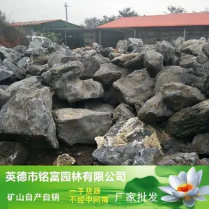 英德石 广东太湖石 太湖石假山石 园林景观石批发基地4