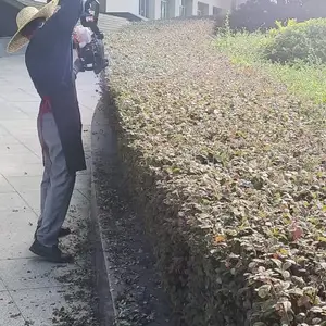 ������ҵ����������׼ ��ӭ���� ������˳��ʵҵ��չ��Ӧ