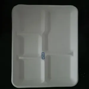 一次性托盘五格托盘纸浆餐具可降解纸浆盘一次性盘