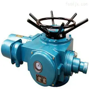 ģ�������ƽ��շ���4��20mA��׼�ź�DZW60-24T���ڵ綯װ��