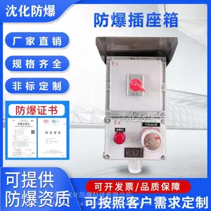 防爆配电箱 电伴热仪表温控箱 定制不锈钢配电柜 照明动力控制柜