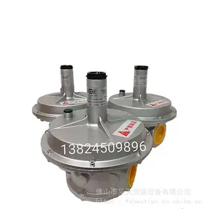 RG/2MC DN50 马达斯 然气减压阀RG/2MC DN40 调压阀