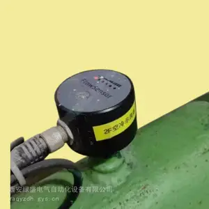 流量开关FCS11-PK-T21报价 电厂热导式示流器