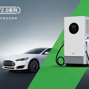 ��ţ60KW˫ǹ����Ӫ���׮��***