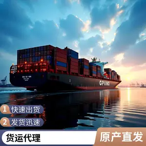 深圳运输植提粉末 国际货运代理 专业化工品粉末液体出口货运服务商