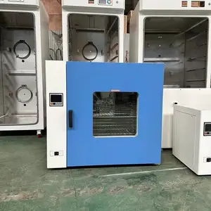 DZF-6030-L��ո����� ��ҩ��ҵ�� ���������� �ɶ���