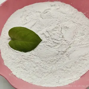 张家口供应饲料用325目钙粉 超细超白碳酸钙永顺厂家