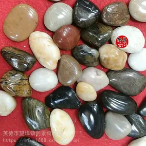 佛山五彩鹅卵石价格-广东黑色雨花石用途-园林铺路鹅卵石