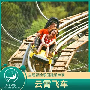 历奇探险-云霄飞车设备-大型景区极速飞车-制造厂家
