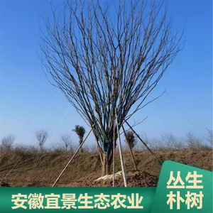 ԰���̻��Ǽܴ������� 3��5�������ٶȿ��������