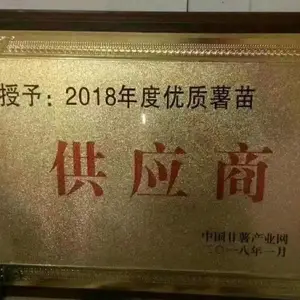 买红薯苗到大丰收专业种植基地-烟薯25高产优质含糖量高
