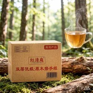 红清庭商用擦手纸双层加厚柔软吸水（200抽）