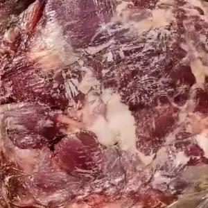 供应新疆驴肉冻驴肉三分体新疆驴肉冻驴腿肉精品好货