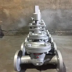 ������ھ������բ�� Z45W-10P DN700 �ֶ�����Ӳ�ܷⷨ��բ��