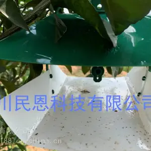 �Ĵ������ݡ����ϡ����졢���������������ϵظ���Ǳҹ�����ռ�
